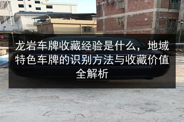 龙岩车牌收藏经验是什么，地域特色车牌的识别方法与收藏价值全解析