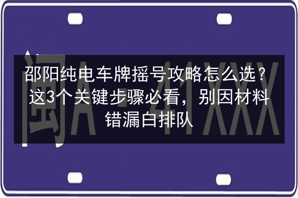 邵阳纯电车牌摇号攻略怎么选?这3个关键步骤必看,别因材料错漏白排队 第2张 邵阳纯电车牌摇号攻略怎么选?这3个关键步骤必看,别因材料错漏白排队 第2张