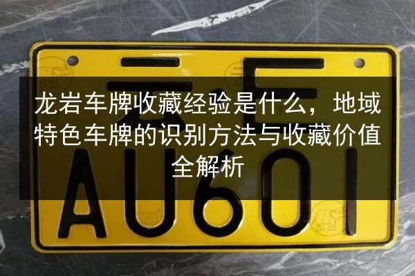 龙岩车牌收藏经验是什么,地域特色车牌的识别方法与收藏价值全解析 第3张 龙岩车牌收藏经验是什么,地域特色车牌的识别方法与收藏价值全解析 第3张