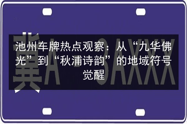 池州车牌热点观察:从“九华佛光”到“秋浦诗韵”的地域符号觉醒 第2张 池州车牌热点观察:从“九华佛光”到“秋浦诗韵”的地域符号觉醒 第2张