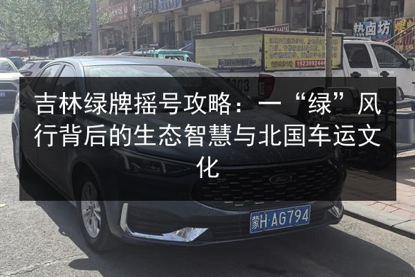 吉林绿牌摇号攻略：一“绿”风行背后的生态智慧与北国车运文化 第3张
