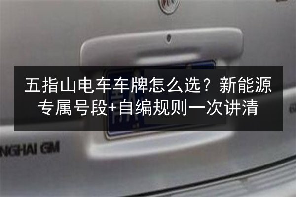 五指山电车车牌怎么选？新能源专属号段+自编规则一次讲清