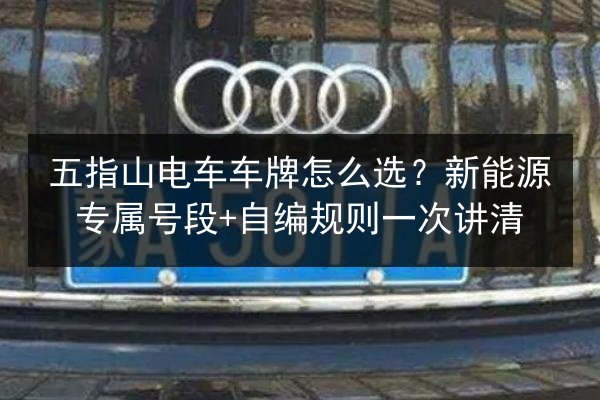 五指山电车车牌怎么选？新能源专属号段+自编规则一次讲清 第2张