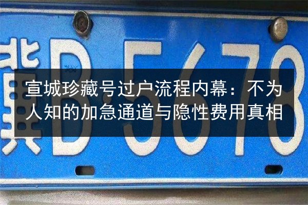 宣城珍藏号过户流程内幕：不为人知的加急通道与隐性费用真相