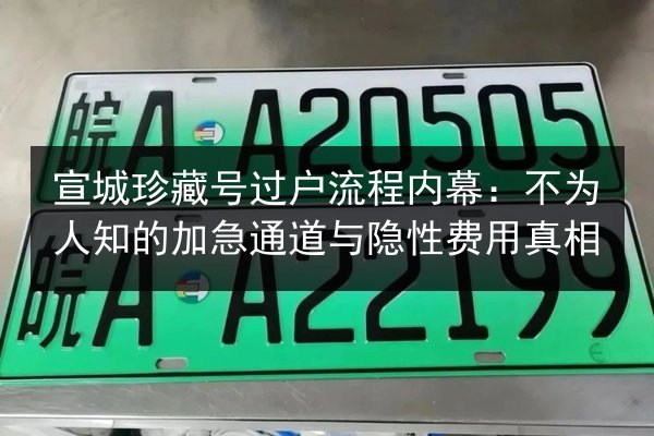 宣城珍藏号过户流程内幕：不为人知的加急通道与隐性费用真相 第3张
