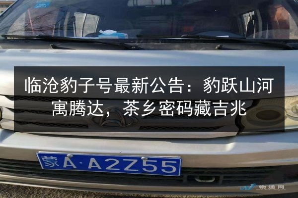 临沧豹子号最新公告：豹跃山河寓腾达，茶乡密码藏吉兆