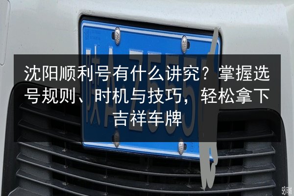 沈阳顺利号有什么讲究?掌握选号规则、时机与技巧,轻松拿下吉祥车牌 第2张 沈阳顺利号有什么讲究?掌握选号规则、时机与技巧,轻松拿下吉祥车牌 第2张