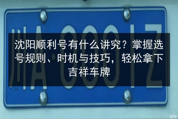 沈阳顺利号有什么讲究?掌握选号规则、时机与技巧,轻松拿下吉祥车牌 第3张 沈阳顺利号有什么讲究?掌握选号规则、时机与技巧,轻松拿下吉祥车牌 第3张