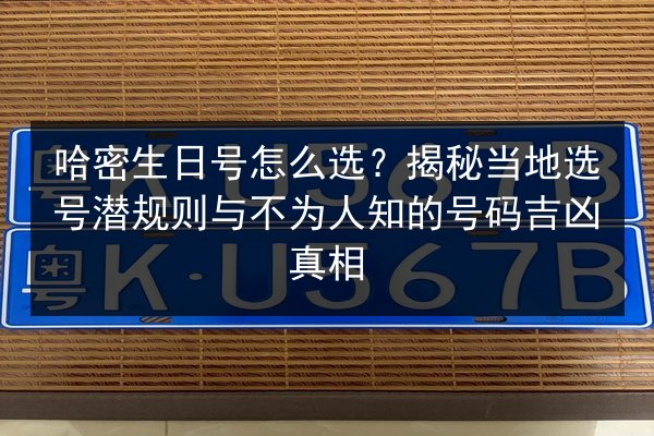 哈密生日号怎么选?揭秘当地选号潜规则与不为人知的号码吉凶真相 第2张 哈密生日号怎么选?揭秘当地选号潜规则与不为人知的号码吉凶真相 第2张