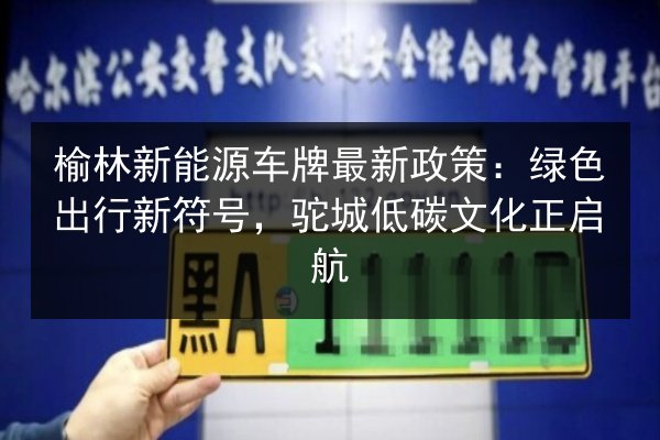 榆林新能源车牌最新政策：绿色出行新符号，驼城低碳文化正启航