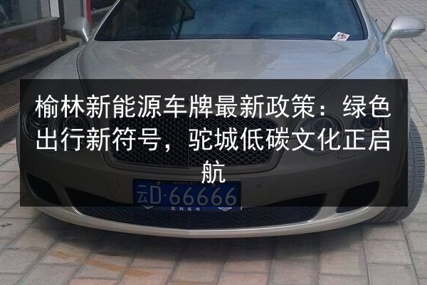 榆林新能源车牌最新政策:绿色出行新符号,驼城低碳文化正启航 第3张 榆林新能源车牌最新政策:绿色出行新符号,驼城低碳文化正启航 第3张