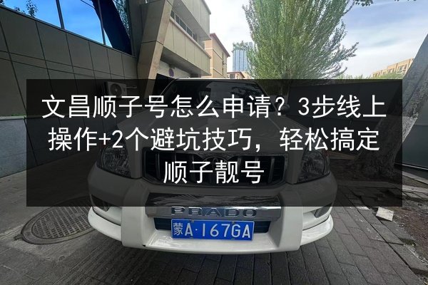 文昌顺子号怎么申请?3步线上操作+2个避坑技巧,轻松搞定顺子靓号 第2张 文昌顺子号怎么申请?3步线上操作+2个避坑技巧,轻松搞定顺子靓号 第2张
