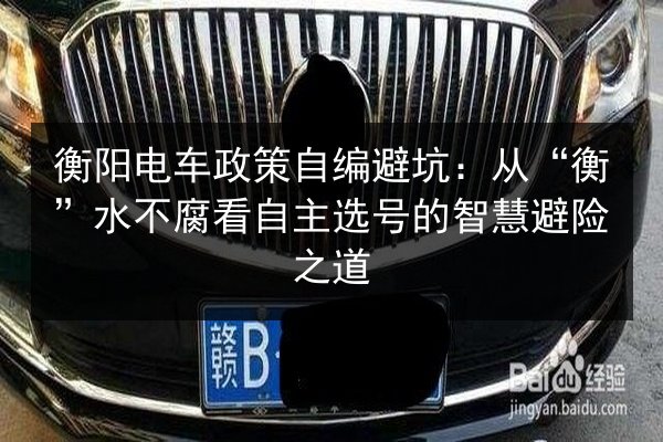 衡阳电车政策自编避坑：从“衡”水不腐看自主选号的智慧避险之道