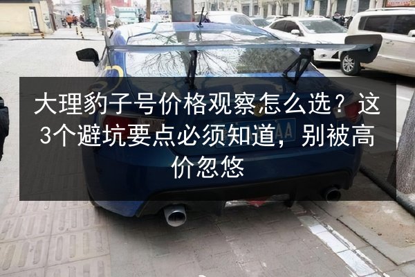 大理豹子号价格观察怎么选？这3个避坑要点必须知道，别被高价忽悠