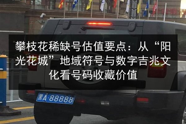 攀枝花稀缺号估值要点：从“阳光花城”地域符号与数字吉兆文化看号码收藏价值