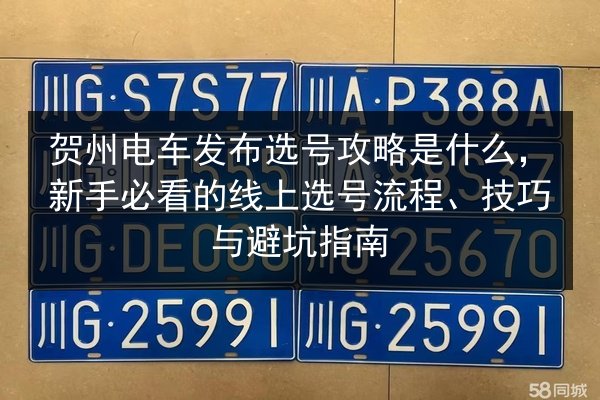 贺州电车发布选号攻略是什么，新手必看的线上选号流程、技巧与避坑指南