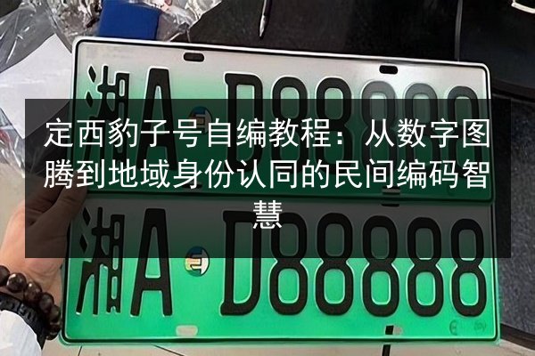 定西豹子号自编教程：从数字图腾到地域身份认同的民间编码智慧 第2张