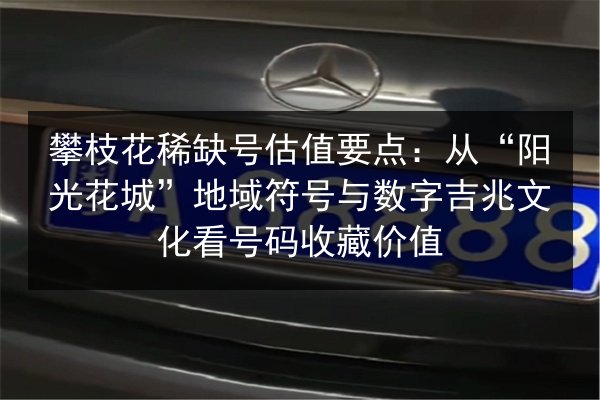 攀枝花稀缺号估值要点：从“阳光花城”地域符号与数字吉兆文化看号码收藏价值 第2张