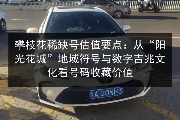 攀枝花稀缺号估值要点：从“阳光花城”地域符号与数字吉兆文化看号码收藏价值 第3张