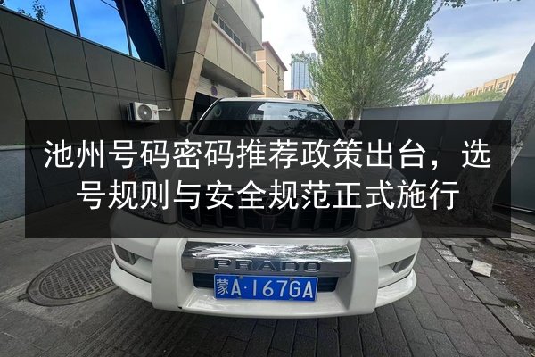 池州号码密码推荐政策出台，选号规则与安全规范正式施行