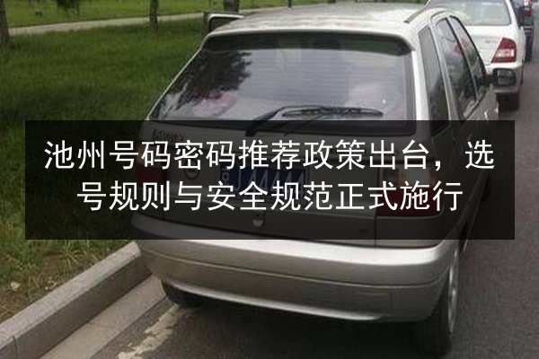 池州号码密码推荐政策出台，选号规则与安全规范正式施行 第3张