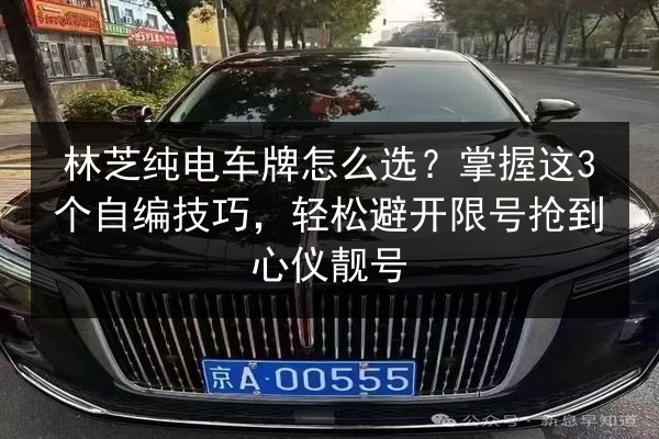 林芝纯电车牌怎么选？掌握这3个自编技巧，轻松避开限号抢到心仪靓号 第2张