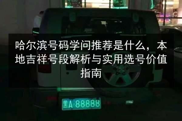 哈尔滨号码学问推荐是什么，本地吉祥号段解析与实用选号价值指南 第2张