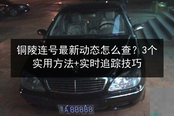 铜陵连号最新动态怎么查？3个实用方法+实时追踪技巧