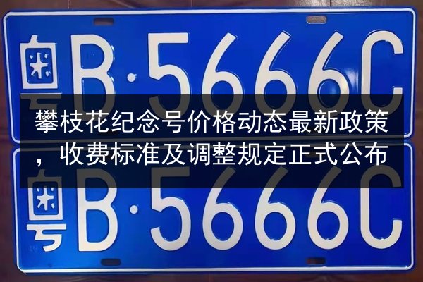 攀枝花纪念号价格动态最新政策，收费标准及调整规定正式公布