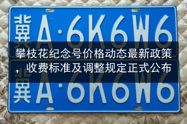 攀枝花纪念号价格动态最新政策,收费标准及调整规定正式公布 第2张 攀枝花纪念号价格动态最新政策,收费标准及调整规定正式公布 第2张
