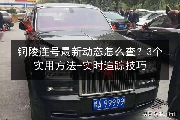 铜陵连号最新动态怎么查?3个实用方法+实时追踪技巧 第3张 铜陵连号最新动态怎么查?3个实用方法+实时追踪技巧 第3张