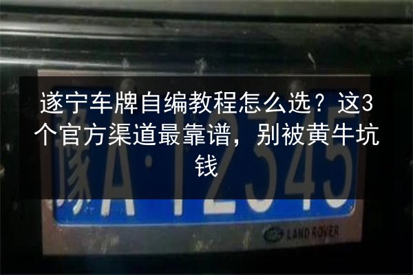 遂宁车牌自编教程怎么选？这3个官方渠道最靠谱，别被黄牛坑钱 第3张