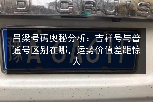 吕梁号码奥秘分析：吉祥号与普通号区别在哪，运势价值差距惊人 第3张