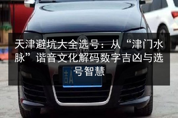 天津避坑大全选号：从“津门水脉”谐音文化解码数字吉凶与选号智慧 第2张
