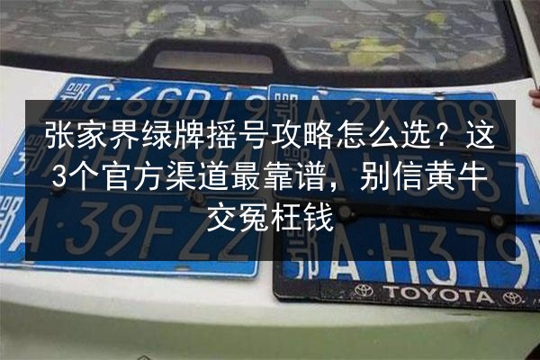 张家界绿牌摇号攻略怎么选？这3个官方渠道最靠谱，别信黄牛交冤枉钱