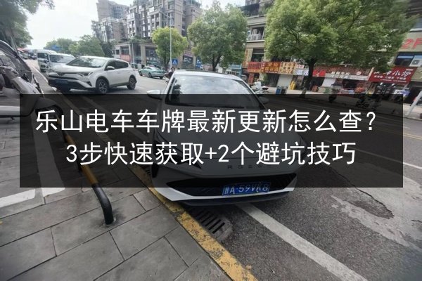 乐山电车车牌最新更新怎么查？3步快速获取+2个避坑技巧