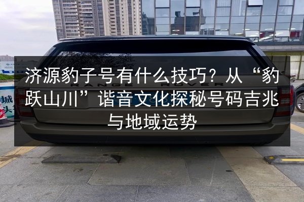 济源豹子号有什么技巧?从“豹跃山川”谐音文化探秘号码吉兆与地域运势 第2张 济源豹子号有什么技巧?从“豹跃山川”谐音文化探秘号码吉兆与地域运势 第2张