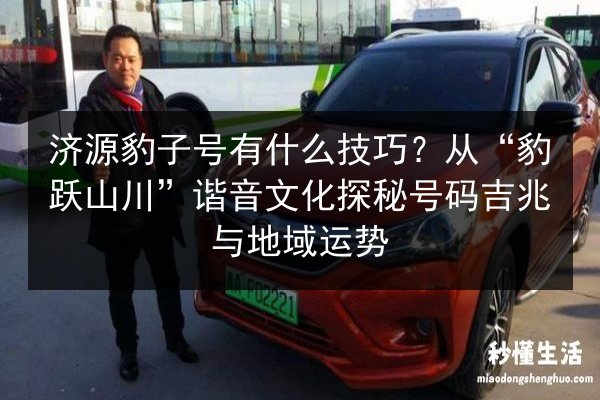 济源豹子号有什么技巧?从“豹跃山川”谐音文化探秘号码吉兆与地域运势 第3张 济源豹子号有什么技巧?从“豹跃山川”谐音文化探秘号码吉兆与地域运势 第3张