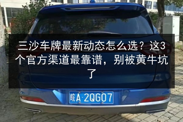 三沙车牌最新动态怎么选？这3个官方渠道最靠谱，别被黄牛坑了