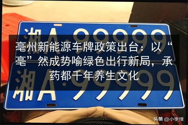 亳州新能源车牌政策出台:以“亳”然成势喻绿色出行新局,承药都千年养生文化 第3张 亳州新能源车牌政策出台:以“亳”然成势喻绿色出行新局,承药都千年养生文化 第3张