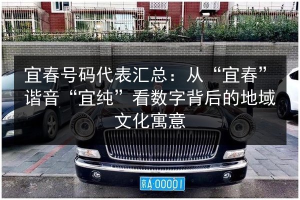宜春号码代表汇总:从“宜春”谐音“宜纯”看数字背后的地域文化寓意 第3张 宜春号码代表汇总:从“宜春”谐音“宜纯”看数字背后的地域文化寓意 第3张