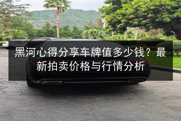 黑河心得分享车牌值多少钱?最新拍卖价格与行情分析 第2张 黑河心得分享车牌值多少钱?最新拍卖价格与行情分析 第2张