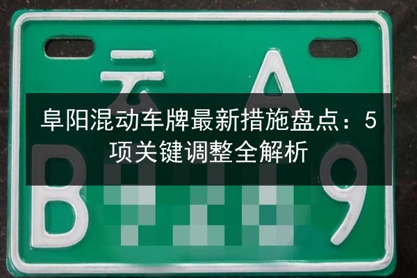 阜阳混动车牌最新措施盘点:5项关键调整全解析 第2张 阜阳混动车牌最新措施盘点:5项关键调整全解析 第2张