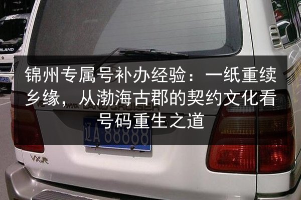 锦州专属号补办经验：一纸重续乡缘，从渤海古郡的契约文化看号码重生之道