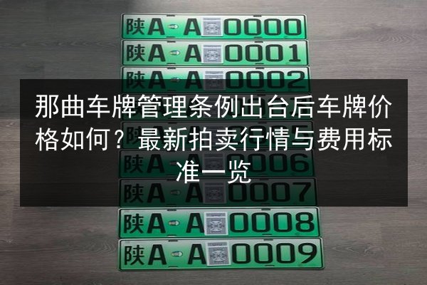 那曲车牌管理条例出台后车牌价格如何?最新拍卖行情与费用标准一览 第2张 那曲车牌管理条例出台后车牌价格如何?最新拍卖行情与费用标准一览 第2张