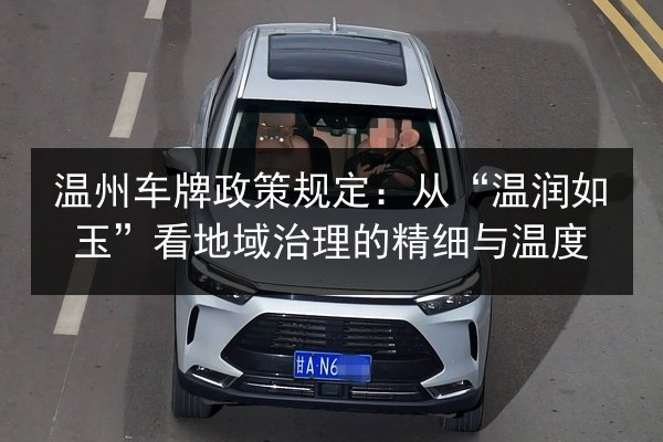 温州车牌政策规定:从“温润如玉”看地域治理的精细与温度 第2张 温州车牌政策规定:从“温润如玉”看地域治理的精细与温度 第2张