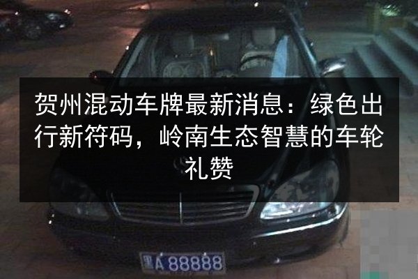 贺州混动车牌最新消息：绿色出行新符码，岭南生态智慧的车轮礼赞