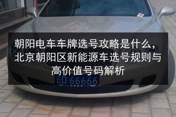 朝阳电车车牌选号攻略是什么，北京朝阳区新能源车选号规则与高价值号码解析 第3张