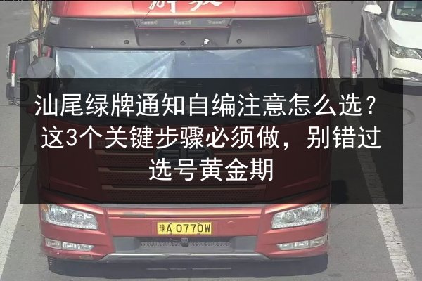 汕尾绿牌通知自编注意怎么选？这3个关键步骤必须做，别错过选号黄金期 第3张