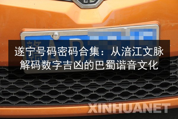 遂宁号码密码合集：从涪江文脉解码数字吉凶的巴蜀谐音文化 第2张